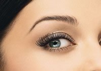 sourcils